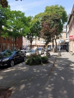 Slotboomstraat lokal uslugowo-uzytkowy z ogrodem